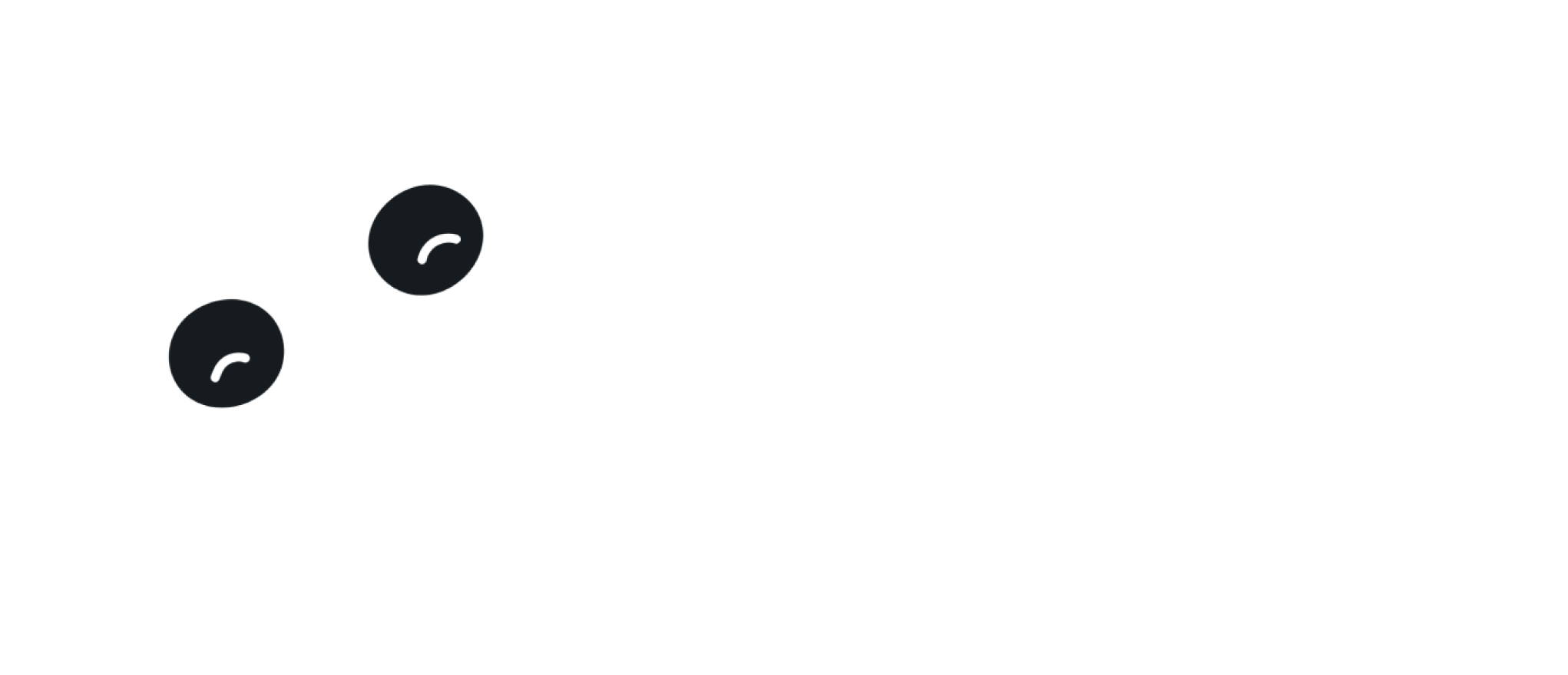 Safe Ceylon Logo